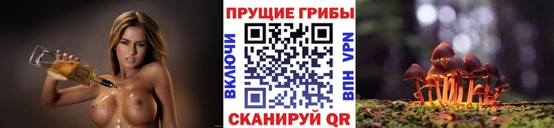 Псилоцибиновые грибы Magic Shrooms  купить   Полярные Зори 
